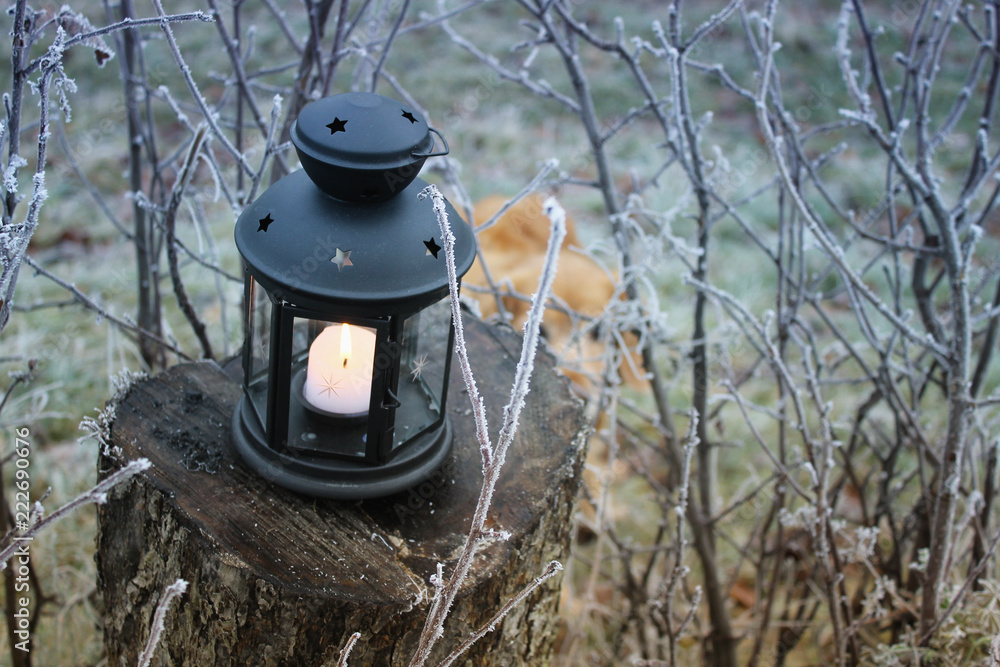 burning lantern in the misty frozen garden burning lantern in the misty frozen garden