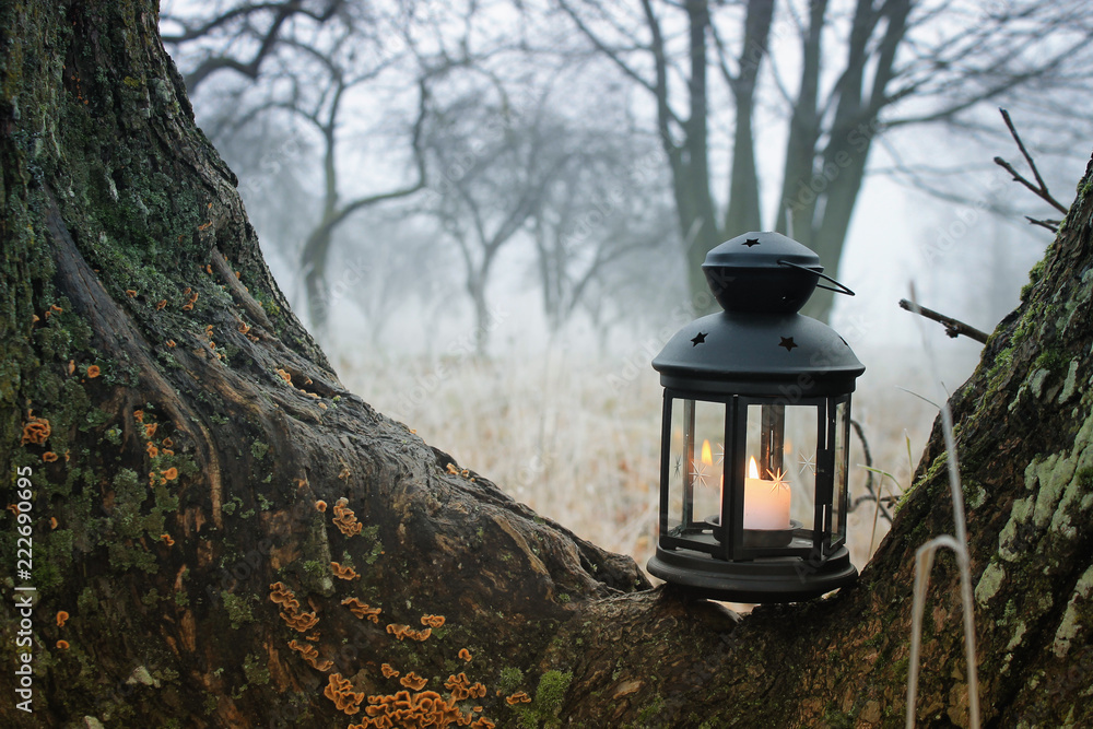 burning lantern in the misty frozen garden 