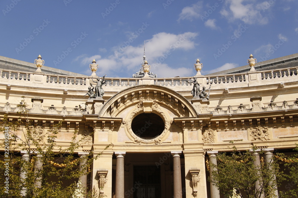 Obraz premium Petit Palais à Paris