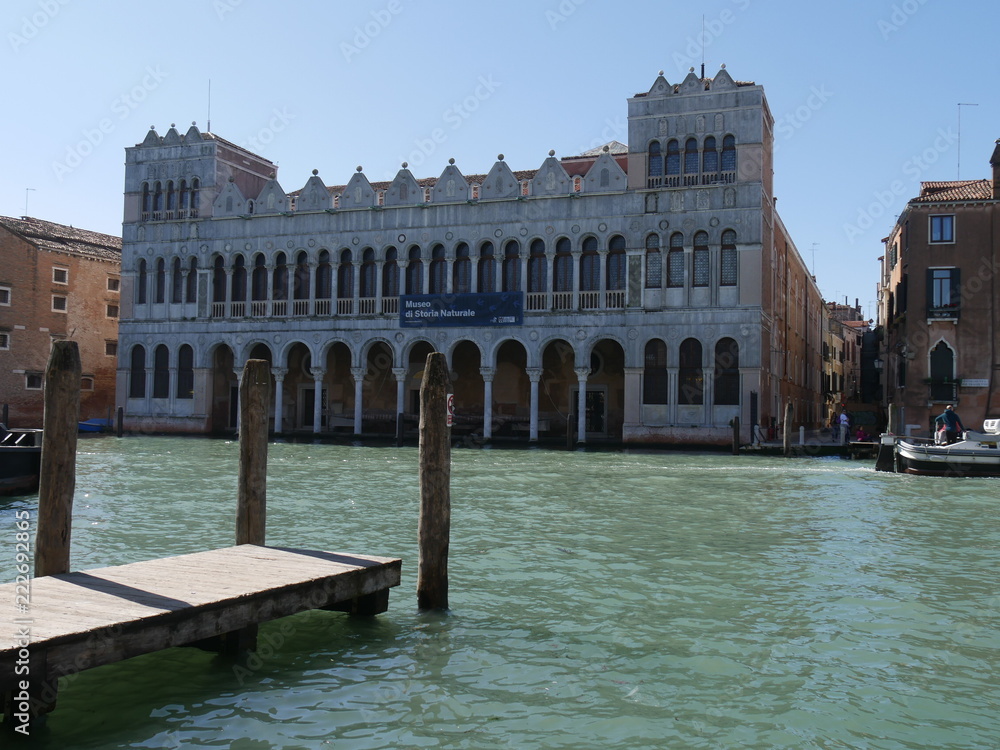 Venezia - museo di storia naturale in palazzo Fontego dei Turchi