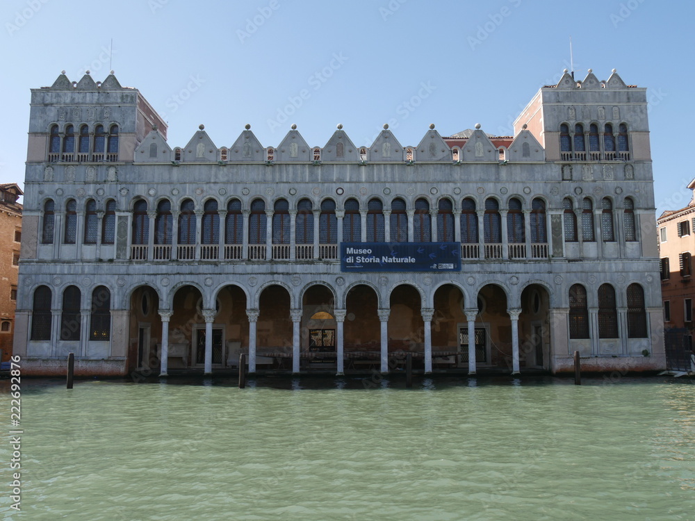 Venezia - museo di storia naturale in palazzo Fontego dei Turchi