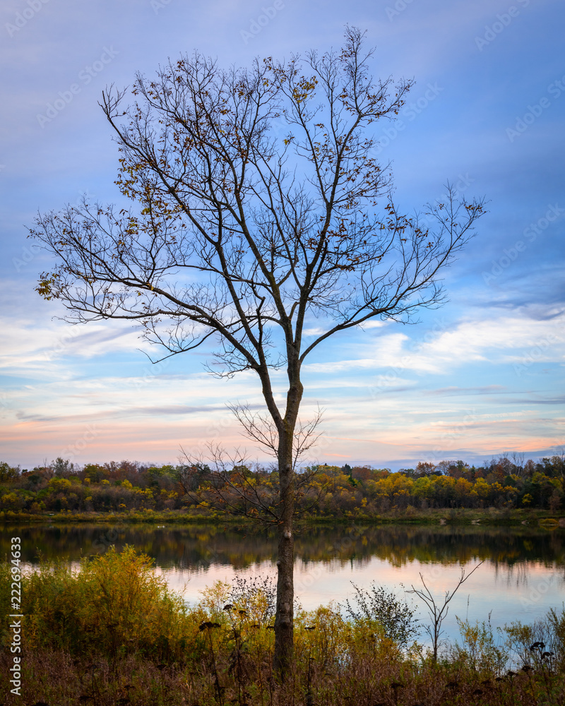 Sunset With A Lone Tree Near A River With Rocks And Reflections And Wispy Clouds And Fall Colours Sunset With A Lone Tree Near A River With Rocks And Reflections And Wispy Clouds And Fall Colours