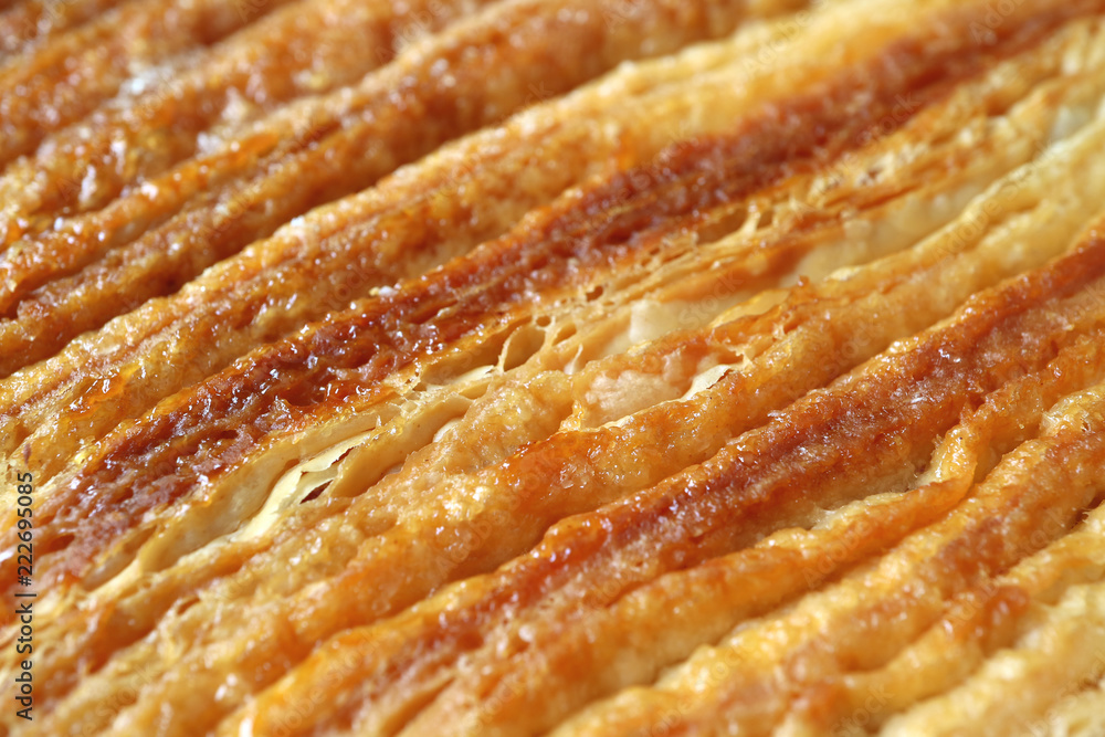 Closed Up Texture of Rolled and Folded Layers of French Palmier Pastry or Elephant Ear Cookie Closed Up Texture of Rolled and Folded Layers of French Palmier Pastry or Elephant Ear Cookie
