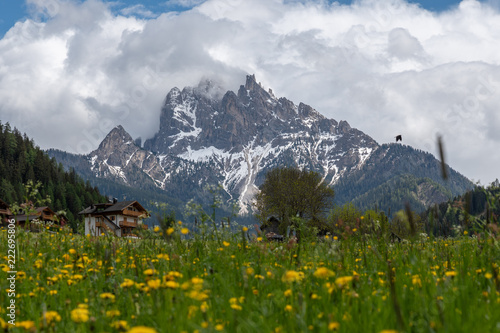 Dolomites Italy, landscapes and nature © Artofinnovation