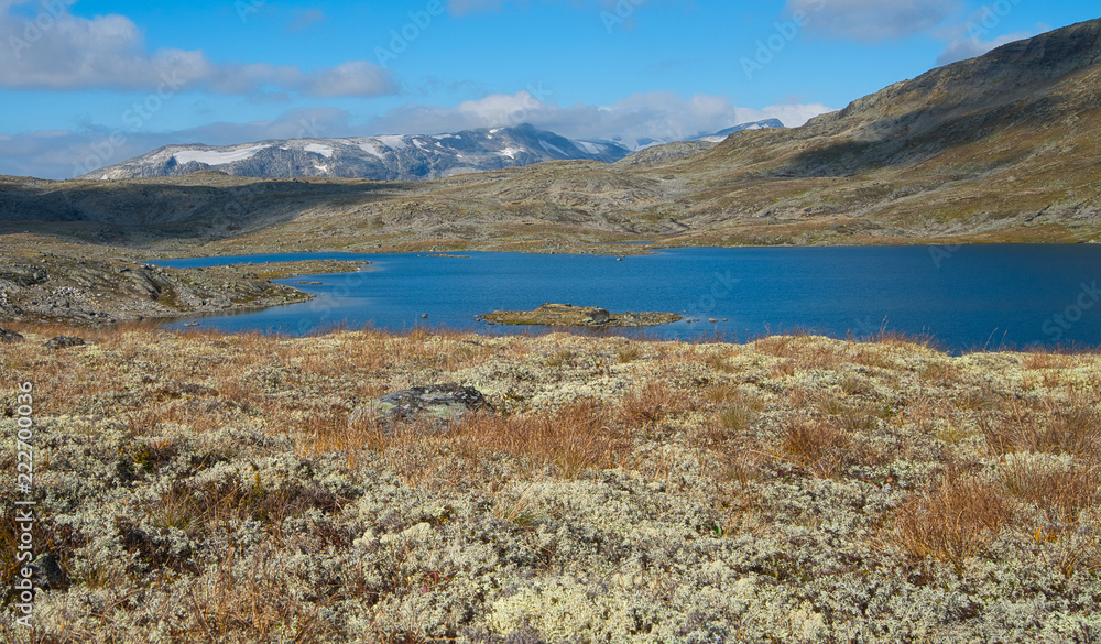 Arctic Lake