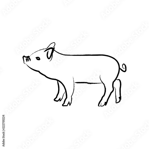 Outline draw pig