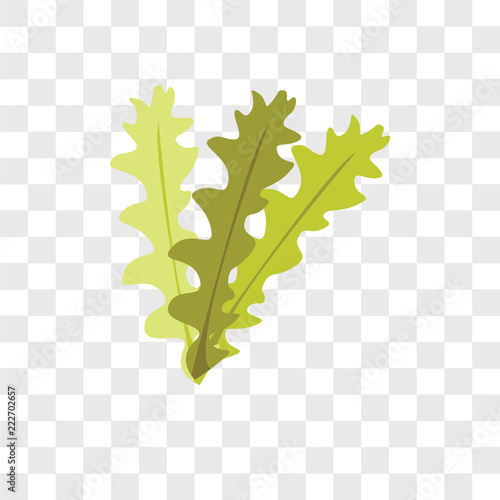 seaweed icons isolated on transparent background. Modern and editable seaweed icon. Simple icon vector illustration.