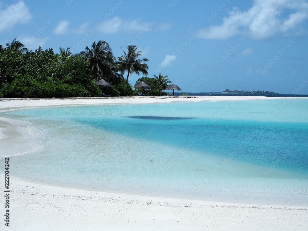 Fototapeta premium the beach in Maldives