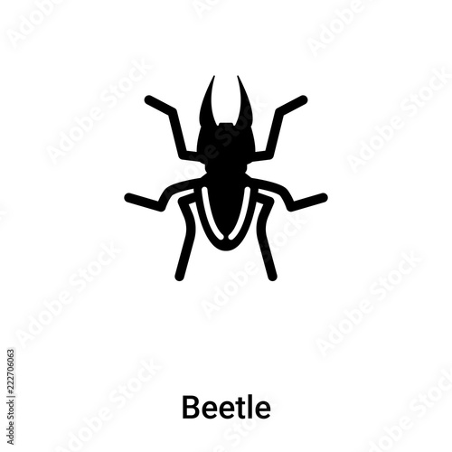 Beetle icon vector isolated on white background, logo concept of Beetle sign on transparent background, black filled symbol photo