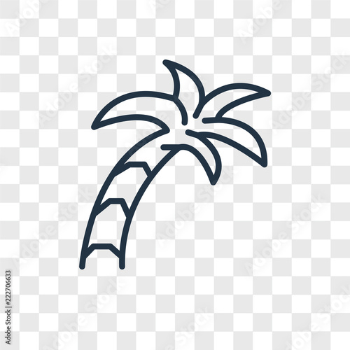 palm tree icons isolated on transparent background. Modern and editable palm tree icon. Simple icon vector illustration.