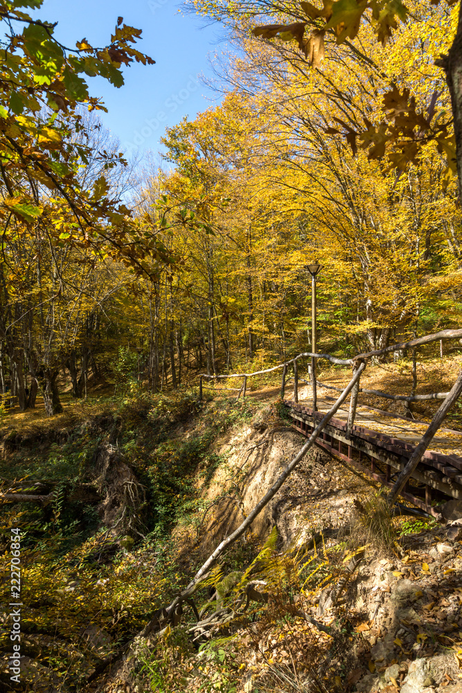 Autumn Landscape with yellow Trees near Devil town in Radan Mountain, Serbia Autumn Landscape with yellow Trees near Devil town in Radan Mountain, Serbia