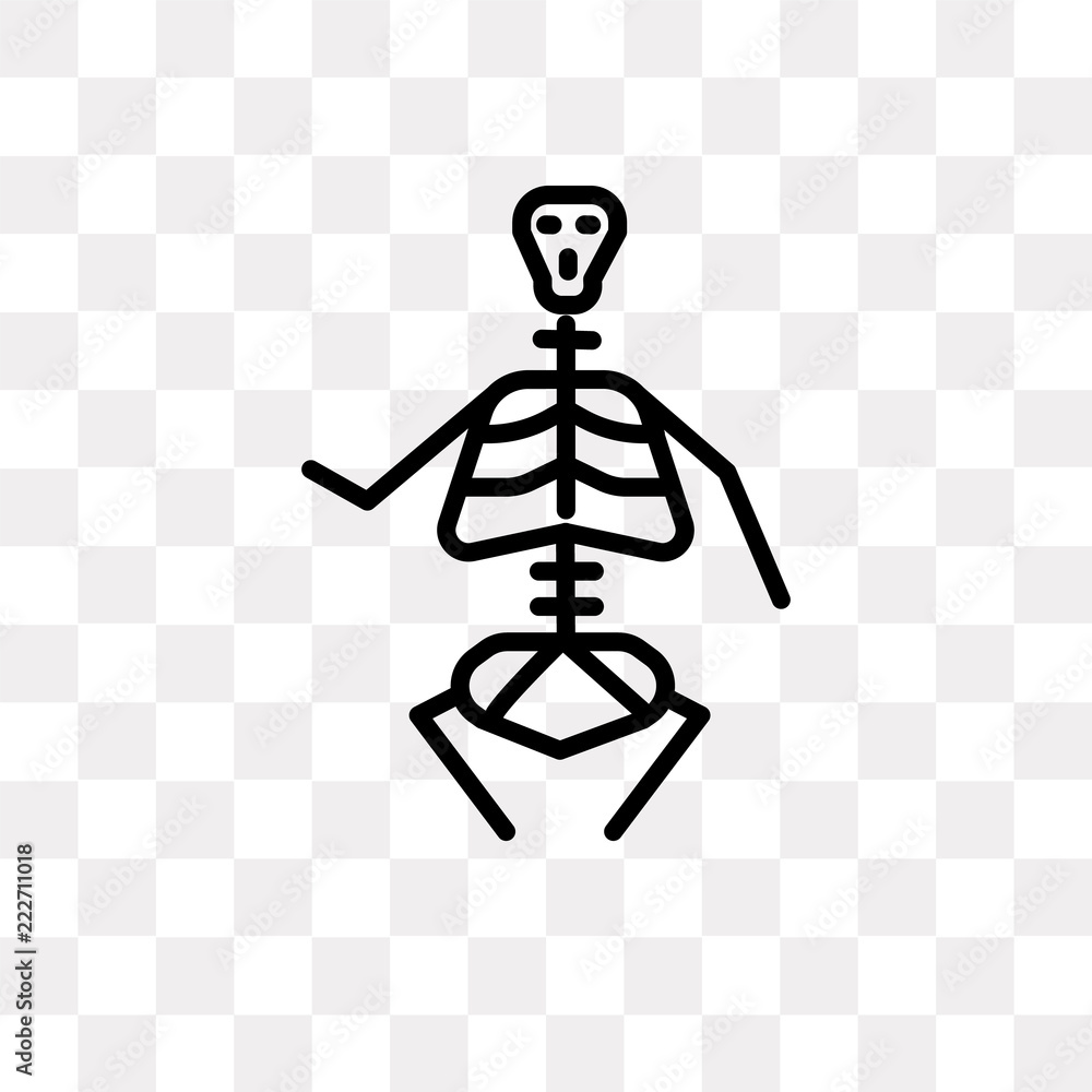 anatomy class skeleton icon on transparent background. Modern icons