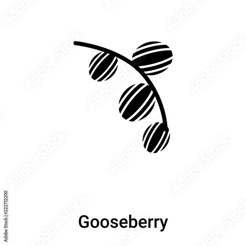 Gooseberry icon vector isolated on white background  logo concept of Gooseberry sign on transparent background  black filled symbol