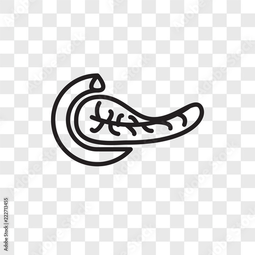 pancreas icons isolated on transparent background. Modern and editable pancreas icon. Simple icon vector illustration.