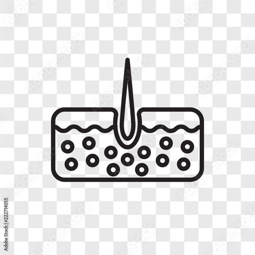 epidermis icons isolated on transparent background. Modern and editable epidermis icon. Simple icon vector illustration.