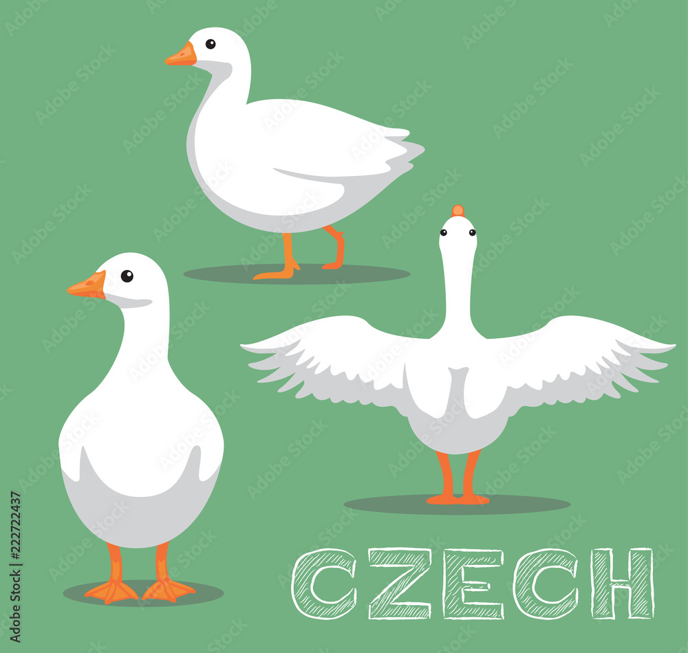 Domestic Goose Czech Cartoon Vector Illustration Domestic Goose Czech Cartoon Vector Illustration