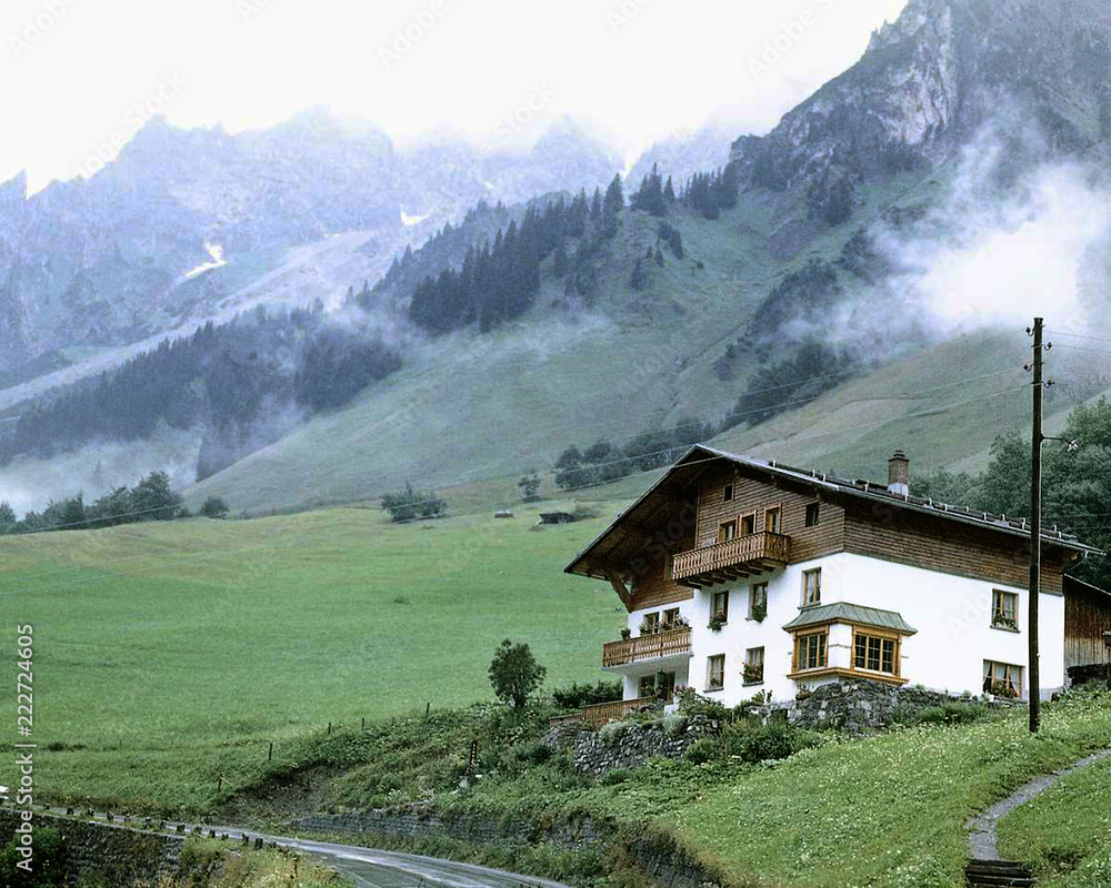 Fototapeta premium house in the alps