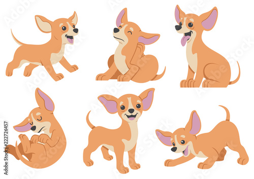 chihuahua dog cartoon set