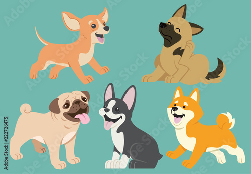 dog flat cartoon set