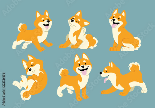 shiba inu dog in cartoon style