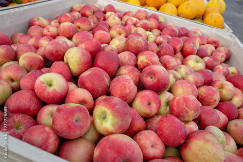 Fresh Organic Apples