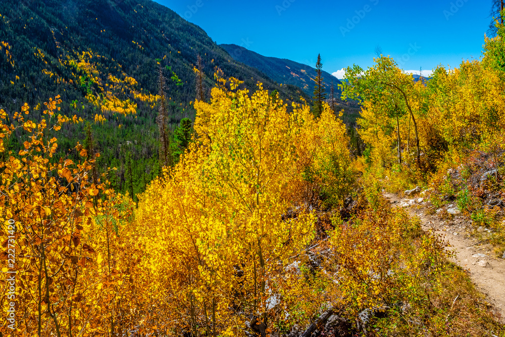 Beautiful Fall Hike in Aspens in Grand Lake, Colorado Beautiful Fall Hike in Aspens in Grand Lake, Colorado