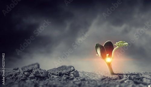 Φωτογραφία Birth of new life