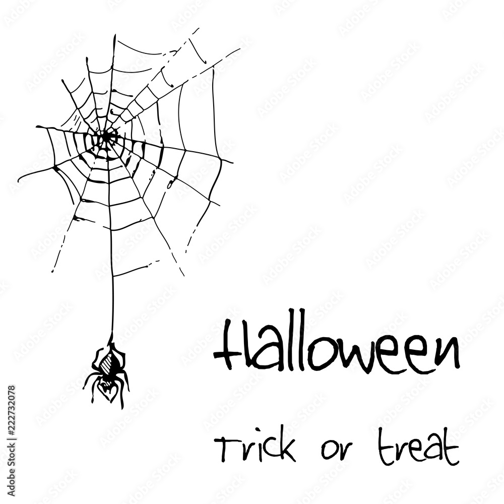 Hand drawn doodle halloween elements, spider with web. Black objects, white background. Vector doodle illustration. Hand drawn doodle halloween elements, spider with web. Black objects, white background. Vector doodle illustration.