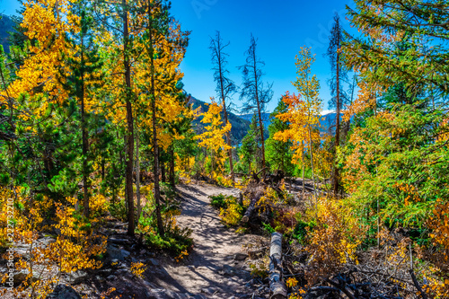 Beautiful Fall Hike in Aspens in Grand Lake, Colorado