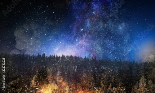 Night forest scene © Sergey Nivens