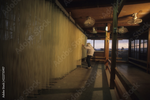 日本の伝統食品の素麺の製造風景、素麺の乾燥作業をするおばあさん