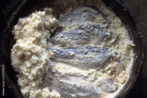 日本の伝統食品の鮒ずしの製造風景、漬けあがった樽の中の鮒ずし