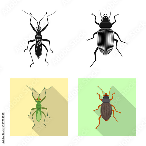 Vector illustration of insect and fly symbol. Collection of insect and element vector icon for stock. © Svitlana