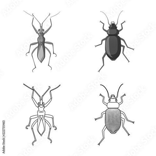 Vector design of insect and fly icon. Collection of insect and element stock symbol for web. © Svitlana