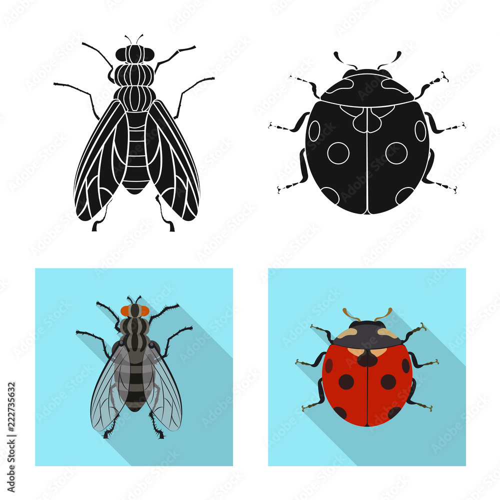Fototapeta premium Vector design of insect and fly icon. Set of insect and element stock symbol for web.