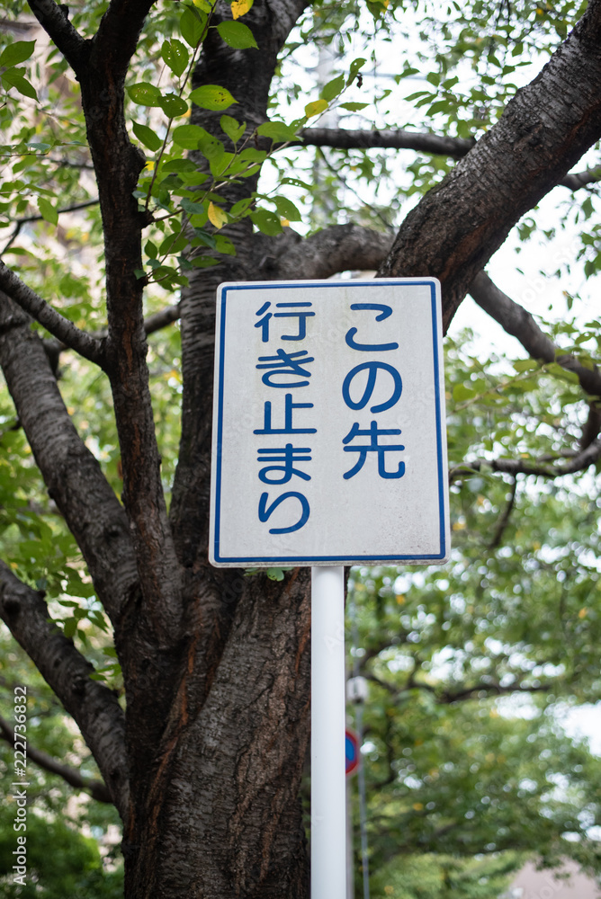 この先
