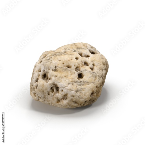 Small Sea Rock with Holes on white. 3D illustration
