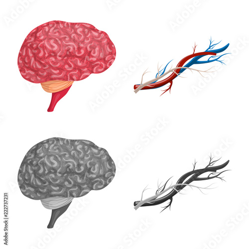 Isolated object of body and human symbol. Set of body and medical stock vector illustration.