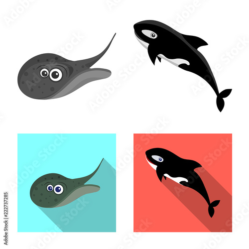 Vector illustration of sea and animal sign. Collection of sea and marine stock symbol for web.