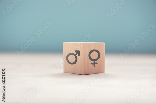 Фотография Gender equality concept, Wood cube with male equals female symbol on blue background