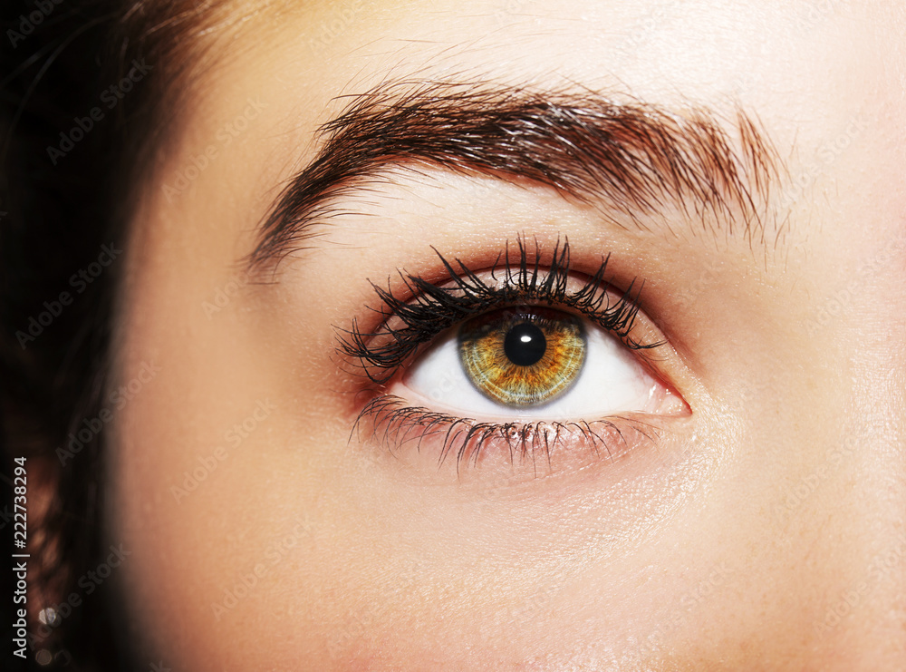 Naklejka premium A beautiful insightful look woman's eye. Close up shot.