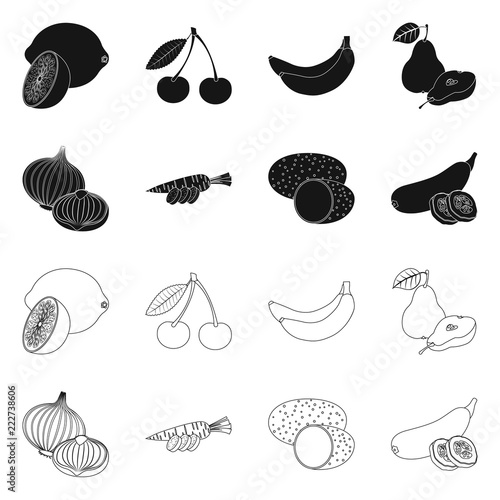 Vector illustration of vegetable and fruit symbol. Collection of vegetable and vegetarian stock vector illustration.