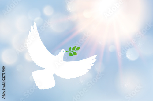 White dove carrying leaf branch and international day of peace. World Water Day. Vector image, sun, sun rays and blue blurred defocused background with bokeh ligth.