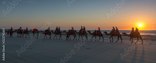 Camels carrying people on Cable Beach with a beautiful sunset in Broome WA