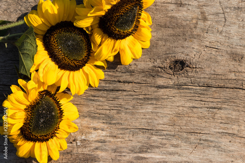 Fototapeta Naklejka Na Ścianę i Meble -  Decorative sunflowers on the wooden background