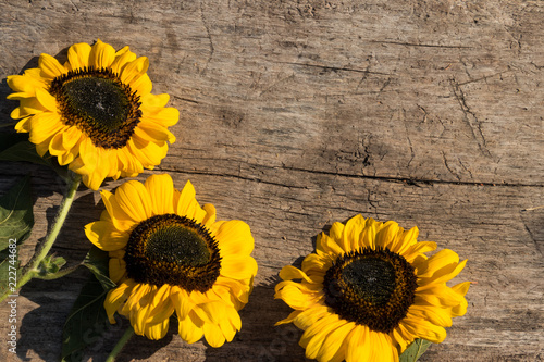 Fototapeta Naklejka Na Ścianę i Meble -  Decorative sunflowers on the wooden background