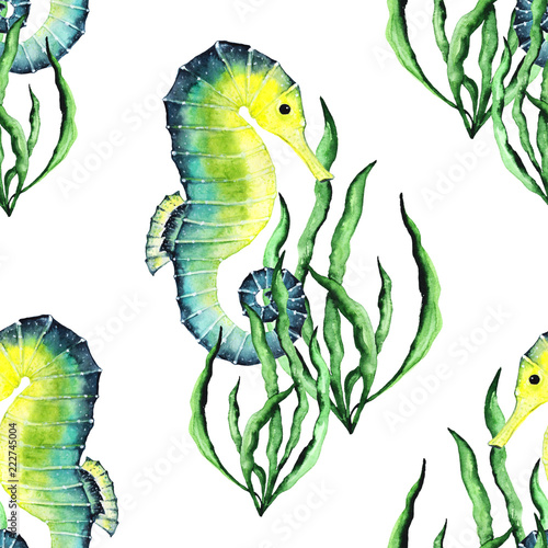 Watercolor Bright Paterrn with Seahorses and Seaweed photo