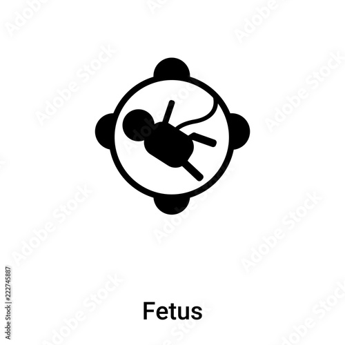Fetus icon vector isolated on white background, logo concept of Fetus sign on transparent background, black filled symbol