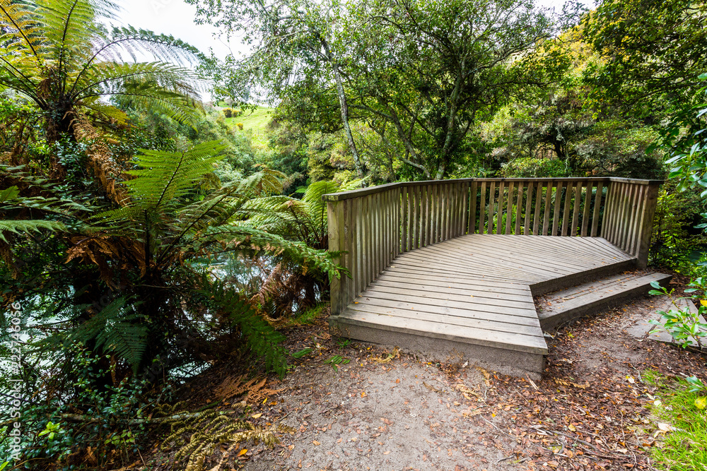 Viewing platform - Kaituna River 