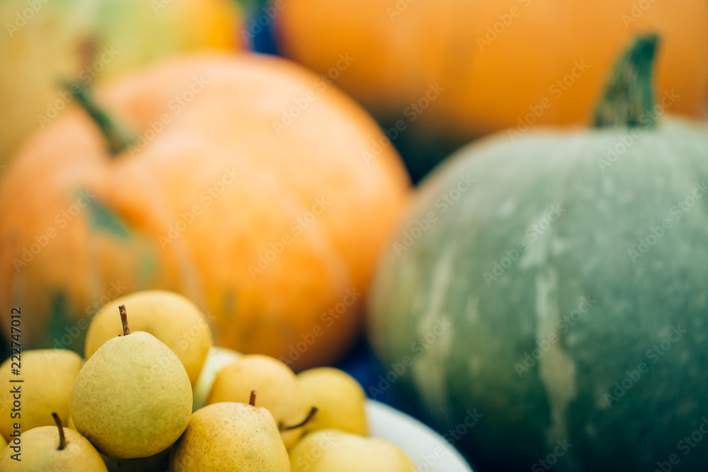 Close-up autumn harvest, fruits and vegetables. Ripe pears on the background of large orange pumpkins